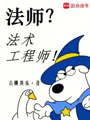 法师?法术工程师! 古柳黄瓜