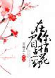 在你眉梢点花灯txt资源