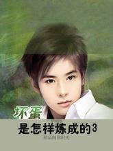 坏蛋是怎样炼成的3暗黑降临