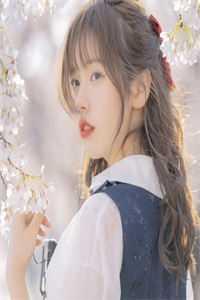 叶无双柳月眉最新章节列表