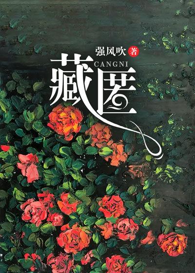 白棠云麓周边规划