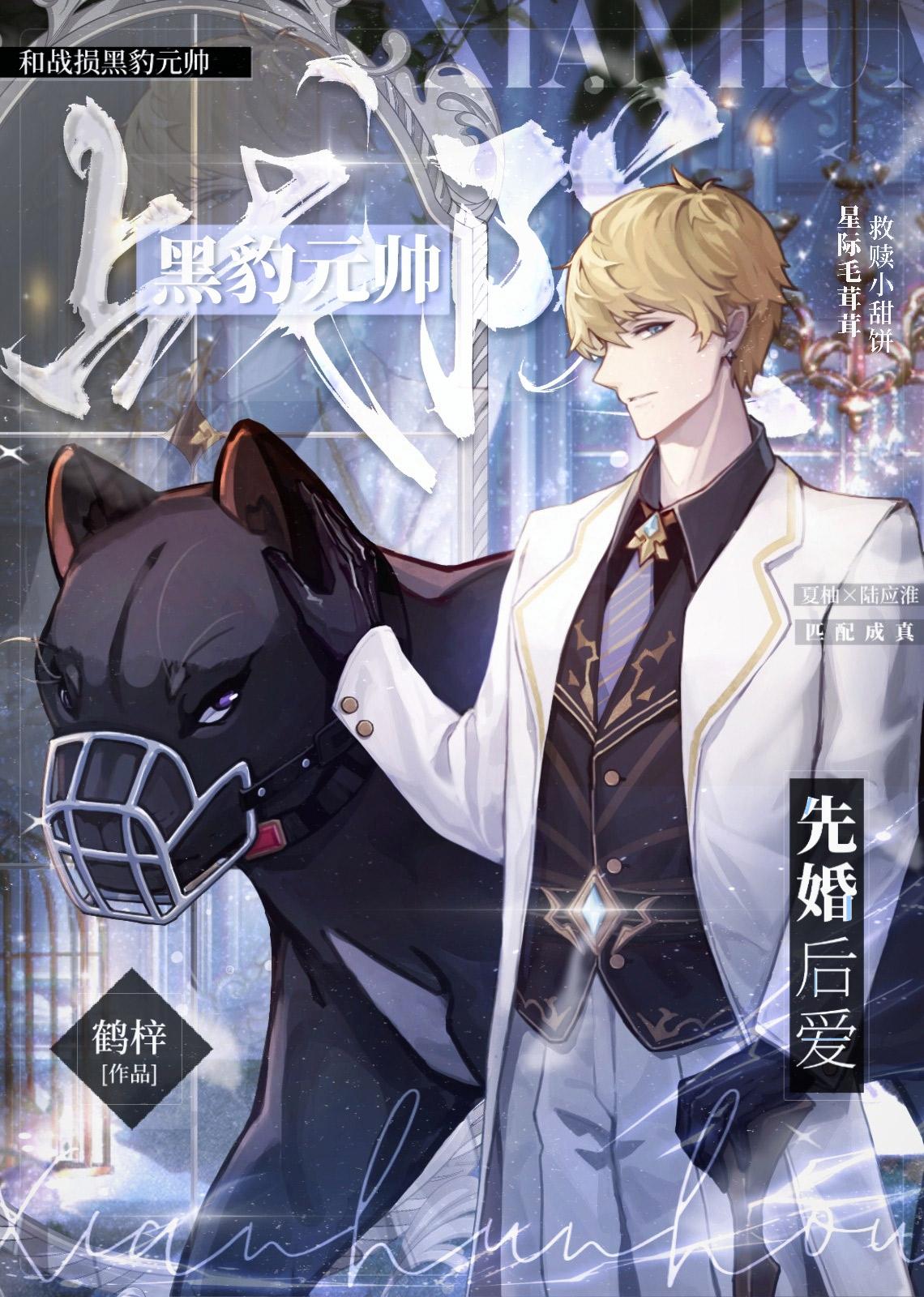 被契约后我成了元帅夫人