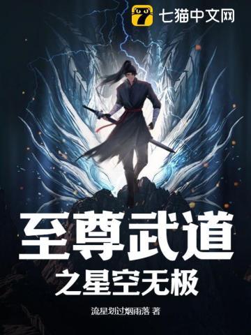 至尊武道之星空无极txt