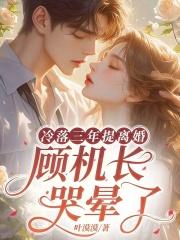 顾机长夫人说自己已守寡三年全集