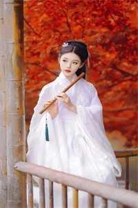 玄幻天道是围着我转的飞卢