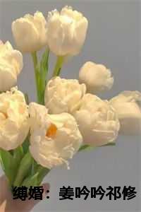 姜吟吟和祁修最后在一起了吗