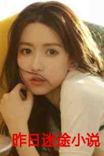 昨日迷途夏崇光最新章节更新内容