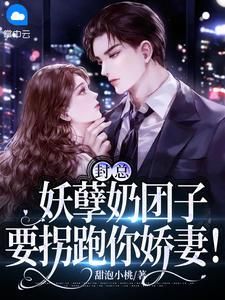 封总,妖孽奶团子要拐跑你娇妻!