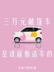 三万元敞篷车,是谁逼他造车的?