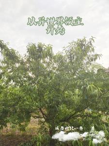 异界领主:从建筑奇迹开始