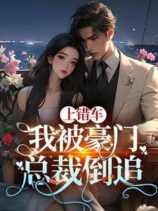 上错车,我被豪门总裁倒追