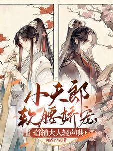 小夫郎软腰娇宠,首辅大人轻声哄