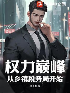 权力巅峰:从乡镇税务局开始