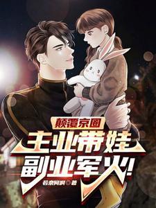 老婆大明星,我在家带娃玩军火!