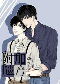 附加遗产(附加遗产原著小说)