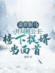 盖世驸马:开局被公主榜下捉婿当面首