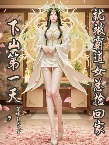 下山第一天,就被霸道女总捡回家