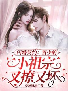 闪婚契约:贺少的小祖宗又撩又坏