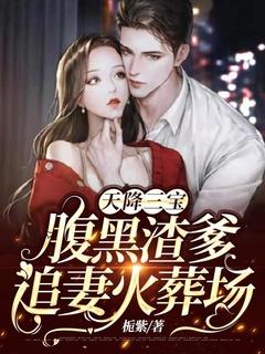 天降三宝:腹黑渣爹追妻火葬场