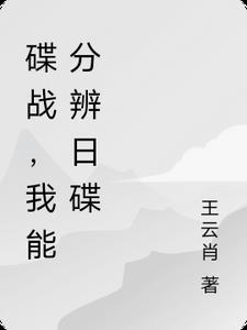 碟战,我能分辨日碟