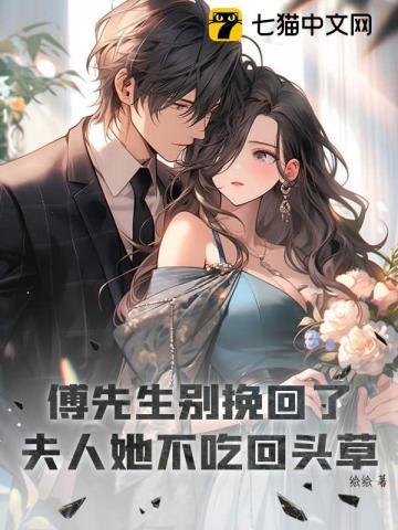 傅先生别挽回了,夫人她不吃回头草
