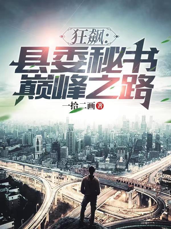 狂飙:县委秘书巅峰之路