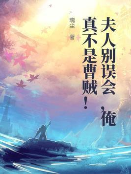 夫人且慢,请助我修行