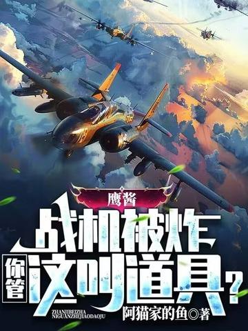 鹰酱战机被炸,你管这叫道具?
