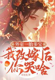 外室一胎多宝，我改嫁后你哭啥