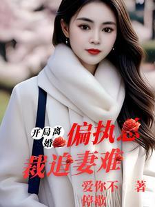 开局离婚:偏执总裁追妻难