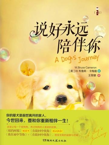 说好永远陪伴你