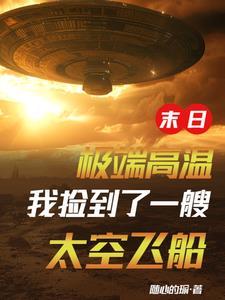 末日:极端高温我捡到了一艘飞船