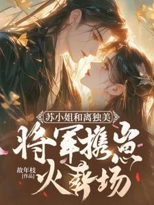 苏小姐和离独美,将军携崽火葬场