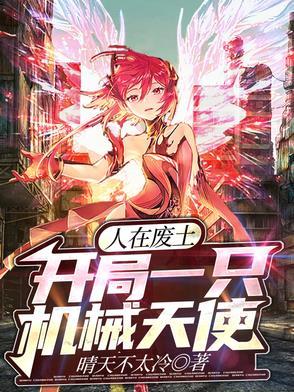 人在废土，开局一只机械天使