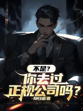 不是？你去过正规公司吗？