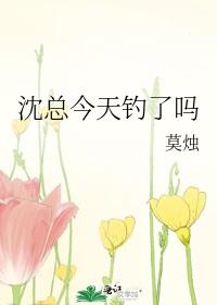 沈总今天钓了吗