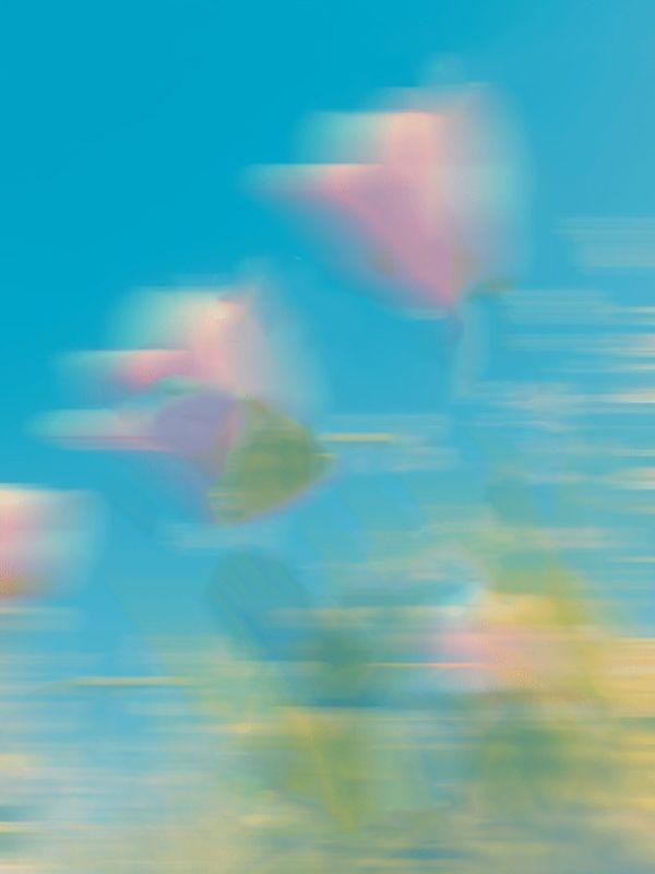 把嫁妆换成假货后,婢女急疯了