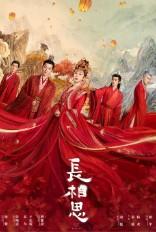 长相思(长相思原著小说)