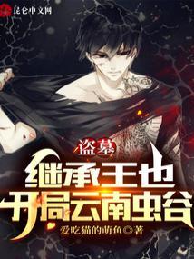 盗墓:继承王也,开局云南虫谷