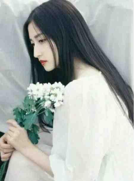 甜宠:我的粘人小狼狗精品小说