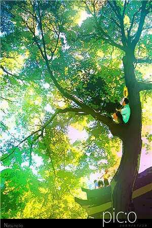 开局峰主，签到死星当坐骑全文小说