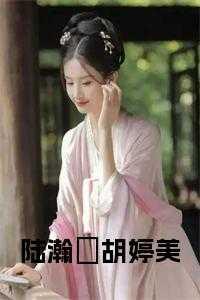 陆瀚湳胡婷美大结局