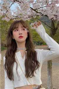 穿成七零女配后,冷情糙汉回家了优秀文集