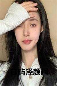 白屿泽颜桐免费阅读