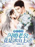 婚后心动:闪婚老公竟是冰山上司
