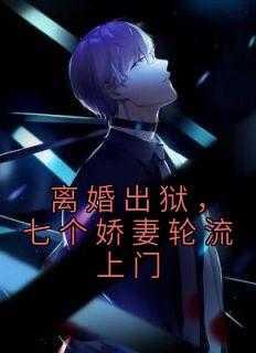 离婚出狱,七个娇妻轮流上