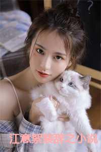 江意絮裴辞之小说