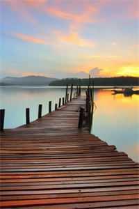 开局发老婆，我不小心争霸天下了