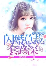 宠婚蜜爱:闪婚总裁,套路深