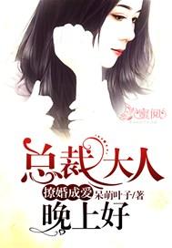 撩婚成爱:总裁大人晚上好